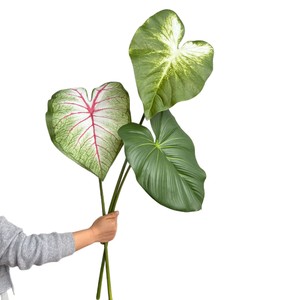 Grandes feuilles de Taro féeriques, feuilles de velours vertes, feuilles de Flamant Royal, matériau de tissage Pan, hauteur 30cm-100cm, style nordique - Product Image 5