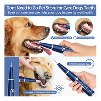 Nettoyeur de dents de chien à ultrasons électrique Portable blanchiment des dents sonique détartreur dentaire avec dissolvant de calcul dispositif de soins bucco-dentaires