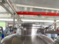 Cuve de Fermentation Conique de 250L pour Bière avec Enveloppe de Refroidissement à Glycol à Vendre