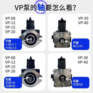 Bomba de Aceite de Paletas Variable de Baja Presión Serie VP con Eje Principal Ranurado, Bomba Hidráulica VP15/VP20/VP30/VP40 - Product Image 2