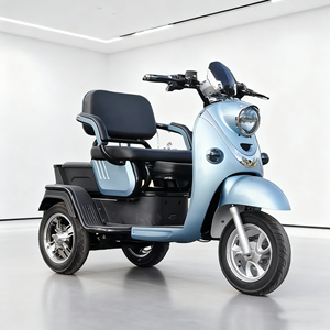 2025 vente chaude d'<span class=keywords><strong>occasion</strong></span> en acier <span class=keywords><strong>vélo</strong></span> <span class=keywords><strong>électrique</strong></span> moyeu arrière moteur 3 vitesses 3 roues conception batterie plomb-acide alimentation 400kg charge - Product Image 2