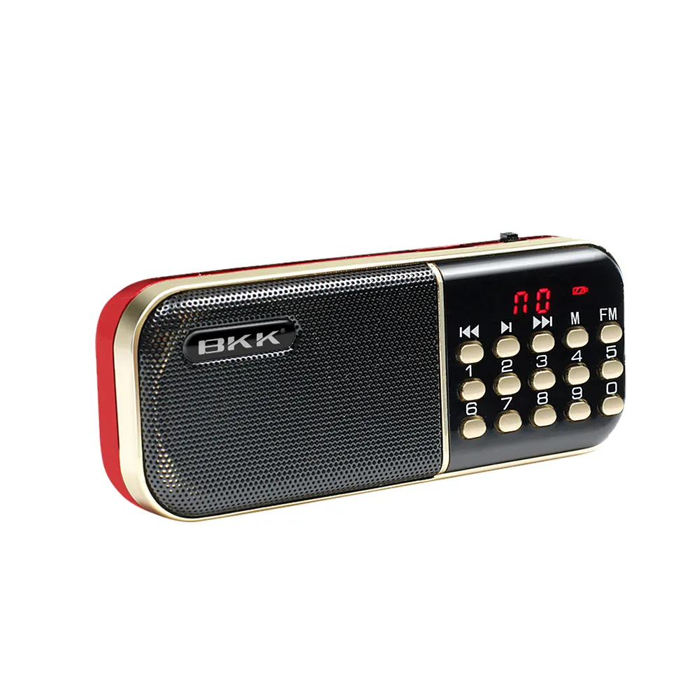 Manufacture Wholesale FM Radio Digital Song USB TF Card Music Player Portable Mini Father Gift