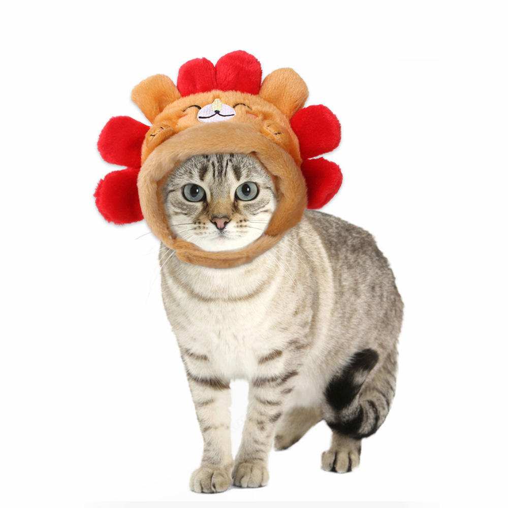 Hedgehog hat b04417