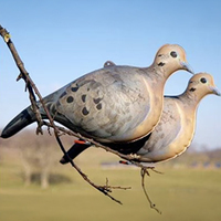 Décoys de pigeons gonflables Cherokee personnalisés, decoys de chasse aux oiseaux en plastique, OEM du fabricant chinois
