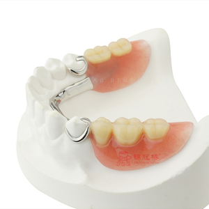Immediate <strong>Partial</strong> Denture with a Cast Metal Framework Acrylic Teeth Finished in Dentistry Dental <strong>Partials</strong> for Dental Care - Product Image 3