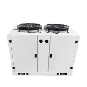 Unidad de condensación tipo caja industrial Ruixue para unidad de refrigeración de cámara frigorífica con caja de control eléctrica