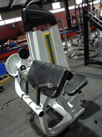 ST-1031 Alat Latihan Kekuatan Gym Pin Loaded Multi-Fungsi Termasuk Biceps Trainer Camber Curl untuk Latihan Kekuatan