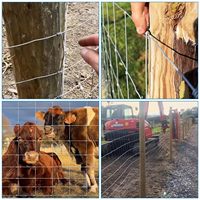 Vente en gros de panneaux de clôture galvanisés pour bovins Corral Clôture en treillis métallique à nœuds Clôture en fil de sécurité pour chevaux de ferme