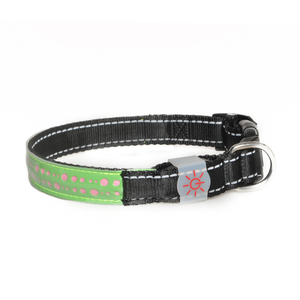 <span class=keywords><strong>Collar</strong></span> de perro LED de nailon ajustable personalizado con luces LED, <span class=keywords><strong>collar</strong></span> intermitente luminoso seguro para visibilidad nocturna - Product Image 3
