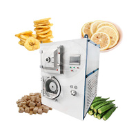 ORME Fruit Freeze Dry Machine Mini Vacuüm Vriesdroger Lyofilisatiemachine Te Koop