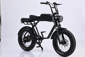 Fournisseur d'usine, scooter électrique à 3 roues 48v20Ah pour adultes, tricycle électrique pas cher, grand siège, panier de transport, puissance 500w - Product Image 2