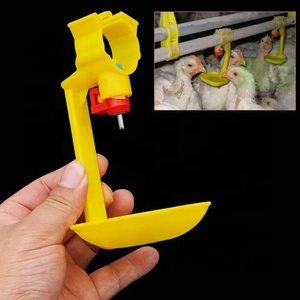Système de cages automatiques de type A pour poulets de la Tanzanie – Poulailler pour l'élevage avicole – Vente de cages pour poules pondeuses – Jaulas Para Gallos - Product Image 6