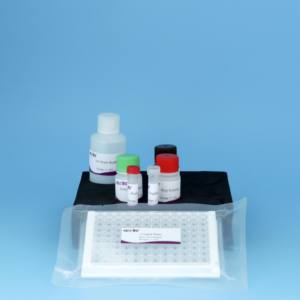 <span class=keywords><strong>Streptococcus</strong></span> Equi Antikörper-ELISA-Kit | 96T | CE-zertifiziert | Pferde-Würgegriff-Test - Product Image 5