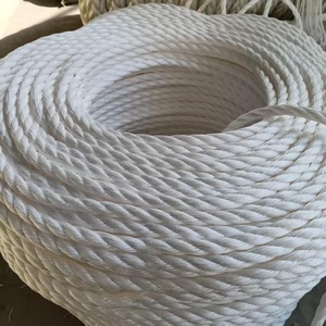 <span class=keywords><strong>PP</strong></span> <span class=keywords><strong>Monofilament</strong></span> Xoắn danline dây cho nông nghiệp Polypropylene dây 3-sợi bện bao bì 6mm 16mm 24mm 28mm PE dây - Product Image 2