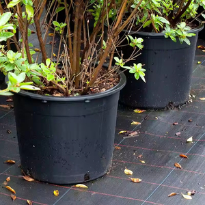 Maceta gigante PP macetas Para orqudeas materos Para plantas agricoltura venta mayorista de macetas số lượng lớn chậu - Product Image 2