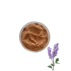 Оптовая продажа 1 кг MOQ натуральный шалфей травяной экстракт порошок 20:1 <span class=keywords><strong>Salvia</strong></span> Officinalis растительный экстракт может экономичный порошок <span class=keywords><strong>Salvia</strong></span> - Product Image 1