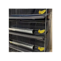Cage à Cailles de Type H Premium, Équipement d'Élevage Avicole Neuf et Efficace