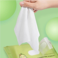 Lingettes démaquillantes portables écologiques non tissées personnalisées (10 pièces) pour le soin hydratant du visage, marque privée OEM