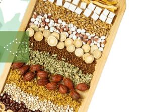 Té Adelgazante <span class=keywords><strong>de</strong></span> Hierbas Mixtas <span class=keywords><strong>para</strong></span> un Vientre Plano, Bolsitas Individuales - Product Image 3