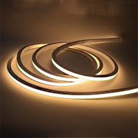 Tube LED flexible intelligent DC24V 48V Neon Flex Compatible Dali PWM Loxone KNX 2700-6500K Tunable White Façade Noen Strip