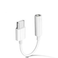 Boîtier ABS Puce DAC Type C Mâle à 3.5mm Femelle Convertisseur d'adaptateur de câble audio stéréo HIFI