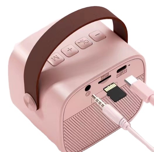 Outdoor Microphone Bluetooth Speakers Kids Portable Karaoke Speaker