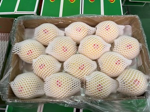 ลูกแพร์สด หวานฉ่ำ คุณภาพพรีเมียมสำหรับส่งออกจากจีน - Product Image 1