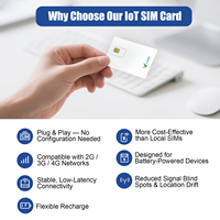 Carte SIM internationale S Make, carte IoT 30 Mo/mois pour un an, itinérance GPS M2M 2G/3G/4G, carte SIM utilisée sur les traceurs GPS de voiture