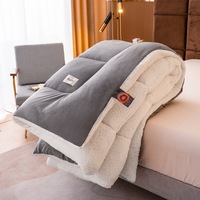 Couette HongYa moderne 100% polyester écologique antibactérienne quatre saisons - Portable pour la maison et les voyages
