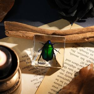 Artesanías de Resina Hechas a Mano, Especímenes de Insectos Encapsulados en Bloques de Resina, Pisapapeles con Forma de Avispa, Los Mejores Regalos para que los Niños Observen <span class=keywords><strong>la</strong></span> Naturaleza en <span class=keywords><strong>la</strong></span> Escuela - Product Image 2