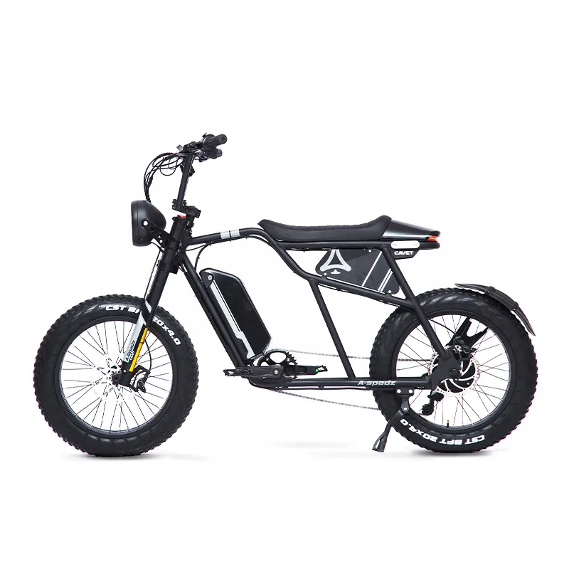 고품질 대중적인 20 인치 현탁액 단속기 자전거는 자전거 뚱뚱한 타이어 전기 단속기 자전거를 자동화했습니다