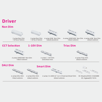 RONSE Projecteurs sur rail modernes LED Linéaires 30W Profil en aluminium avec lentille et diffuseur