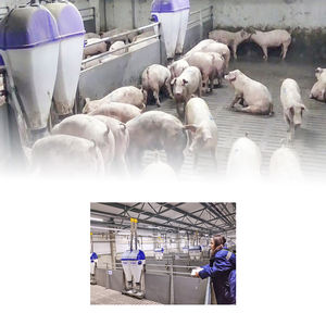 Equipo Agrícola Nuevo Necesario, Jaula de Engorde de Cerdos, Acero Galvanizado por Inmersión en Caliente, Duradero, Tamaño Personalizable, Juego Completo - Product Image 5