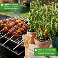 Brochettes en bambou naturel sans nœuds avec manche long, bâtonnets jetables pour la cuisson des guimauves au barbecue, vente en gros