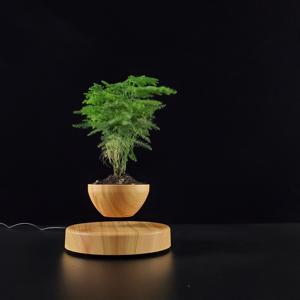 Pot à bonsaï en plastique à lévitation magnétique Art Déco HCNT, rotation à 360°, pot à plantes flottant, écologique, décoration de la maison pour Diwali - Product Image 6