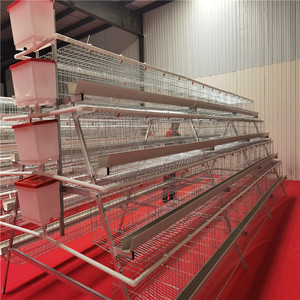 Jaula automática de 4 niveles para gallinas ponedoras, venta al por mayor 2026 - Product Image 2