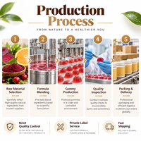 Gummies Botaniques à Marque Blanche OEM, Mélange d'Extraits Végétaux, Nutrition Quotidienne, Complément Alimentaire, Saveur Naturelle, Formule Personnalisée OEM ODM