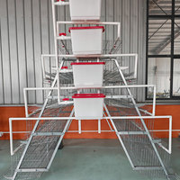 Cage à poules pondeuses pour équipement avicole, prête à être expédiée, système de cages en batterie en fil de fer galvanisé soudé pour l'élevage de poules et de poussins