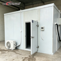 Mini-chambre froide, congélateur et réfrigérateur de plain-pied, conteneur de stockage frigorifique et de surgélation rapide pour restaurants et supermarchés