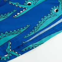 Dernières Offres Spéciales : Fabricants de Maillots de Bain Personnalisés, Shorts de Surf pour Hommes