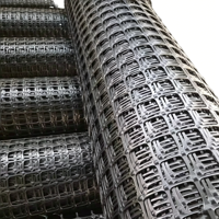 DaringFish Géogrille géosynthétique pour la construction de voies ferrées, autoroutes et aéroports, et la clôture de jardins