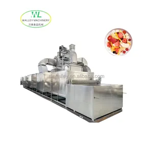 Китай промышленный Дегидратор машина для пищевых фруктов овощи Лук Чеснок Имбирь