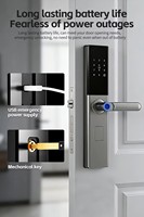 Serrure de porte intelligente Tuya WiFi en acier au carbone et alliage d'aluminium avec poignée à empreinte digitale, accès par mot de passe et carte