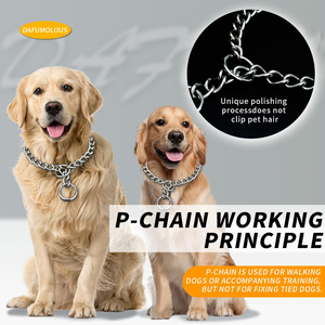 Steel Nickel Plated <b>Chain</b> <b>Dog</b> <b>Collar</b> & Name Tag ID Tag Durable & Strong for Walks & Going Out - Product Image 3