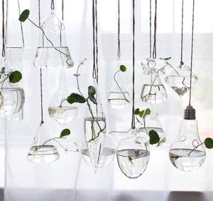 Ronde larme ange coeur hexagone clair Globe <span class=keywords><strong>suspendu</strong></span> Terrarium Air-<span class=keywords><strong>plante</strong></span> jardin <span class=keywords><strong>boule</strong></span> de <span class=keywords><strong>verre</strong></span> sphère photophore SUCCULENT titulaire - Product Image 1