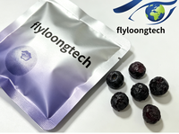 Suiker vrije, hele, gevriesdroogde bosbessen, klein draagbaar pakje, natuurlijke, gezonde, knapperige fruitsnack voor yoghurt en onderweg.