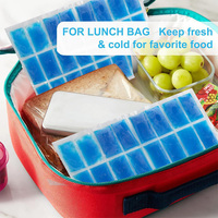 Packs de glace réutilisables en gel PE pour l'expédition – Packs froids compacts pour colis de médicaments, boîtes à lunch, petits glacières, refroidissement alimentaire