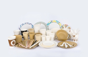 Assiettes en papier jetables de 16 cm biodégradables, rondes, pour fêtes, qualité alimentaire, fabrication OEM ODM Vietnam, directement de l'usine - Product Image 5