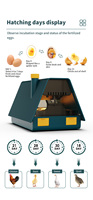 WONEGG Petite couveuse automatique pour 10 œufs
