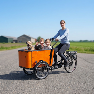 Tricycle <span class=keywords><strong>cargo</strong></span> électrique à cadre bas, vélo <span class=keywords><strong>cargo</strong></span> électrique à 3 roues avec remorque et boîte pour adultes - Product Image 1